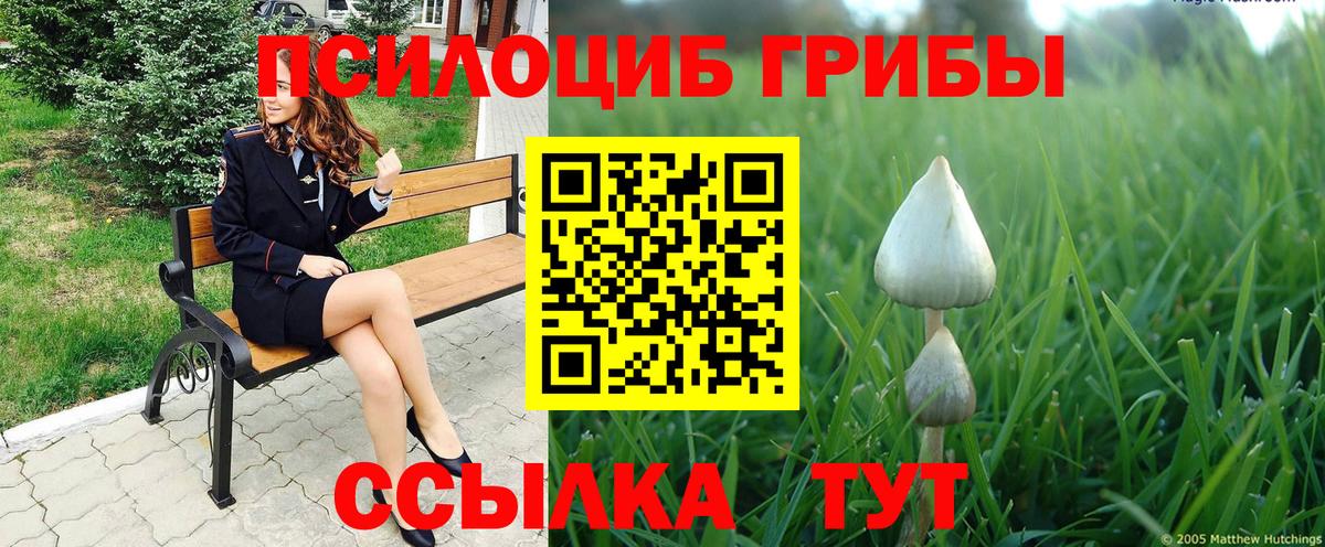 Псилоцибиновые грибы Cubensis  Псилоцибиновые грибы мицелий  Острогожск  Вход с VPN 
