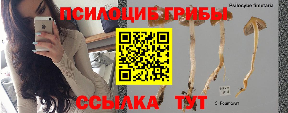 Галлюциногенные грибы мицелий Острогожск